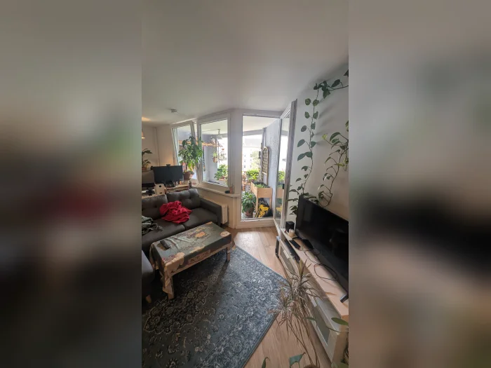 Vorschaubild 7