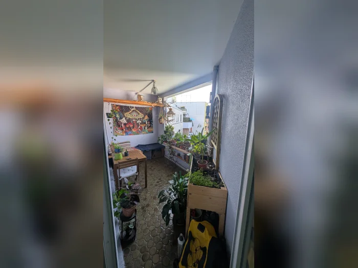 Vorschaubild 8