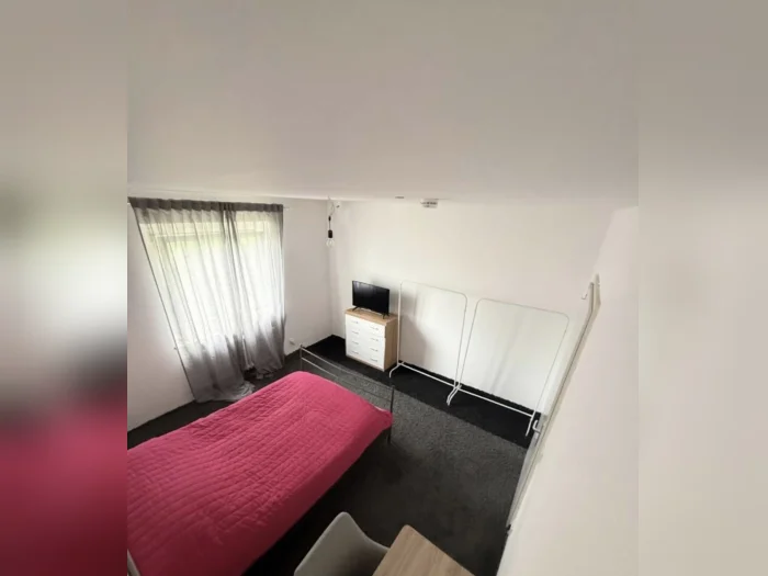 Vorschaubild 2