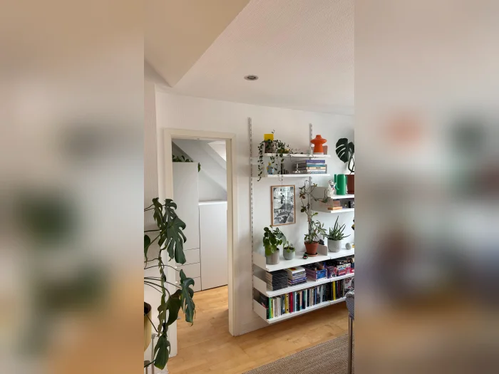 Vorschaubild 5