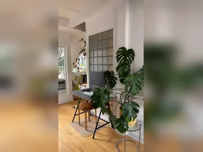 Vorschaubild 2