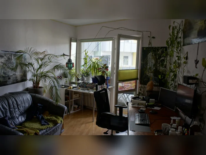 Vorschaubild 1
