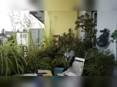 Vorschaubild 7
