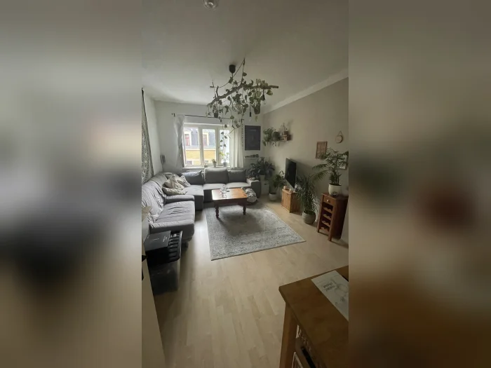 Vorschaubild 1