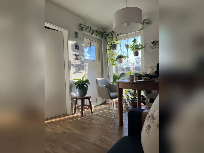 Vorschaubild 6