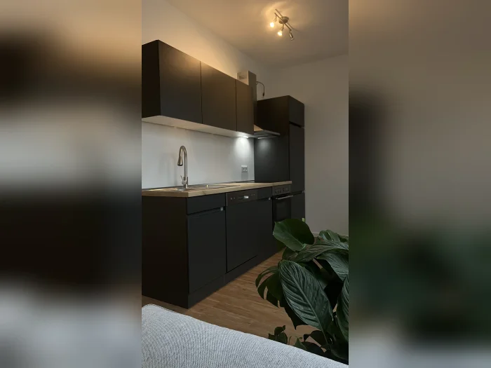 Vorschaubild 3