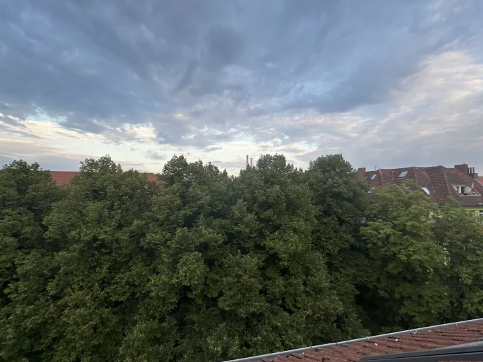 Vorschaubild 12