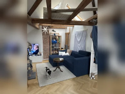 Vorschaubild 4