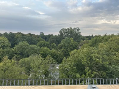 Vorschaubild 11