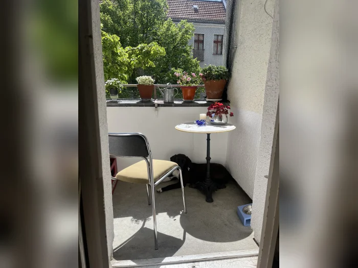 Vorschaubild 5