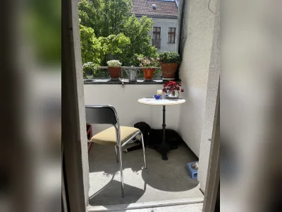 Vorschaubild 5