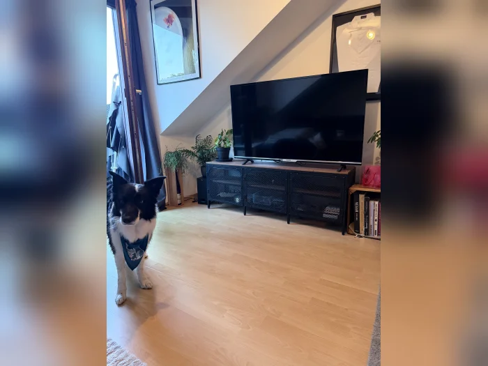 Vorschaubild 12