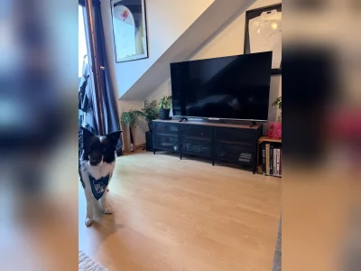 Vorschaubild 12