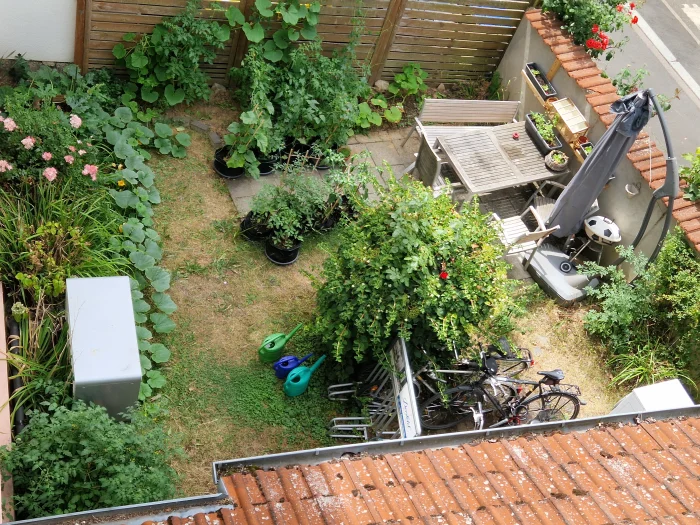 Vorschaubild 1