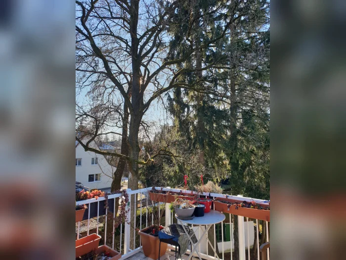 Vorschaubild 8