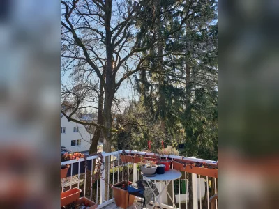 Vorschaubild 8