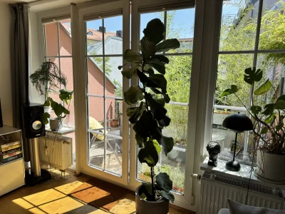 Vorschaubild 3