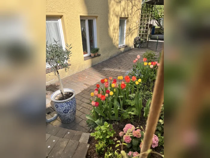 Vorschaubild 3