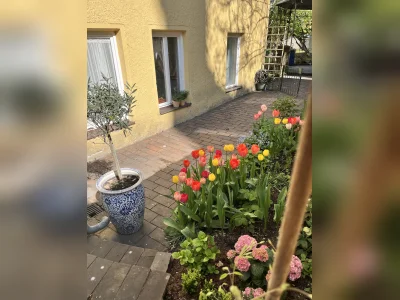 Vorschaubild 3