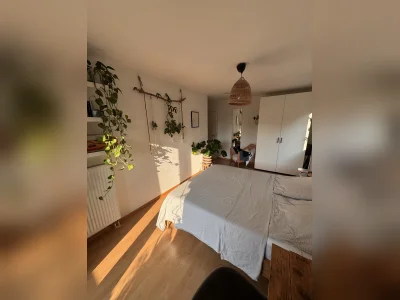 Vorschaubild 2