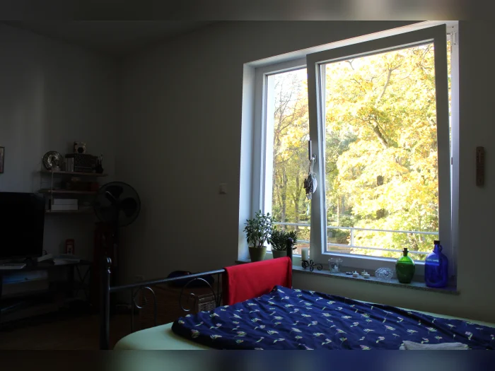 Vorschaubild 2