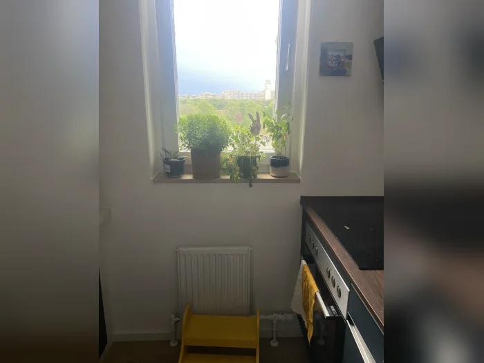 Vorschaubild 4