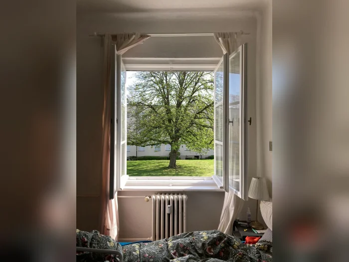 Vorschaubild 3