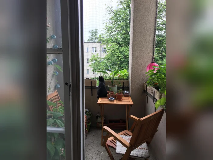 Vorschaubild 4