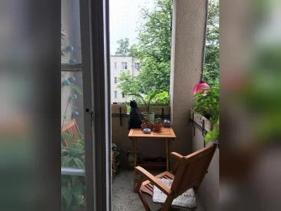 Vorschaubild 4