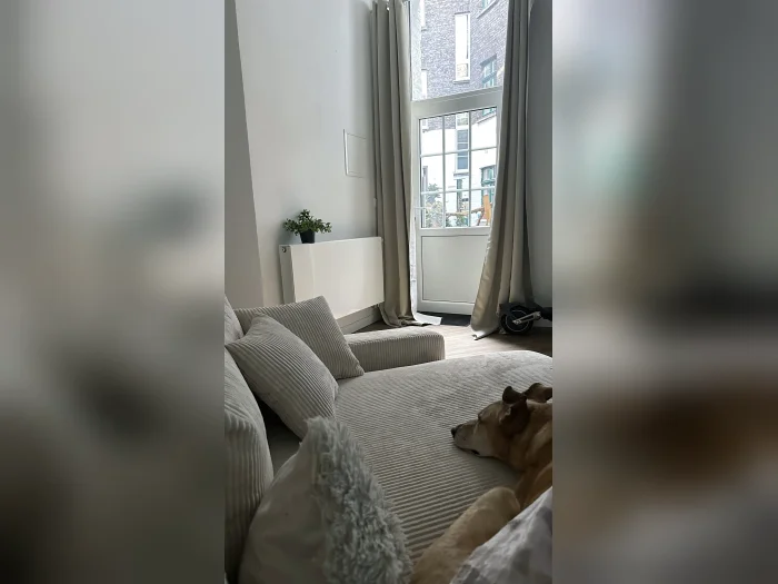 Vorschaubild 4