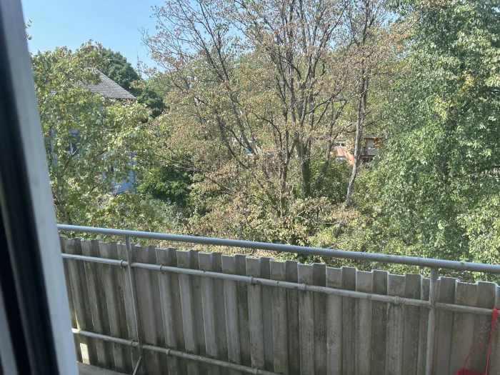 Vorschaubild 11