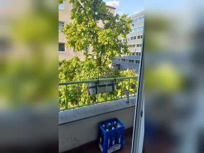 Vorschaubild 8