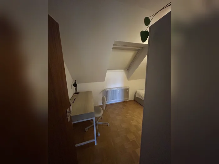 Vorschaubild 6