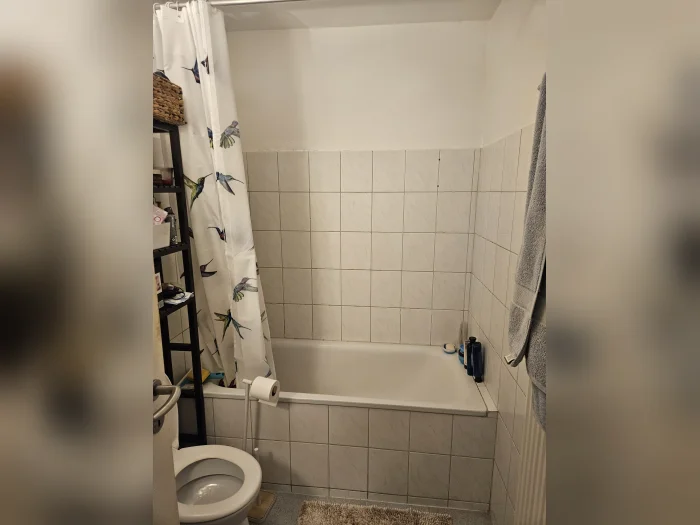 Vorschaubild 3