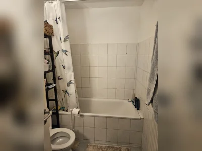 Vorschaubild 3