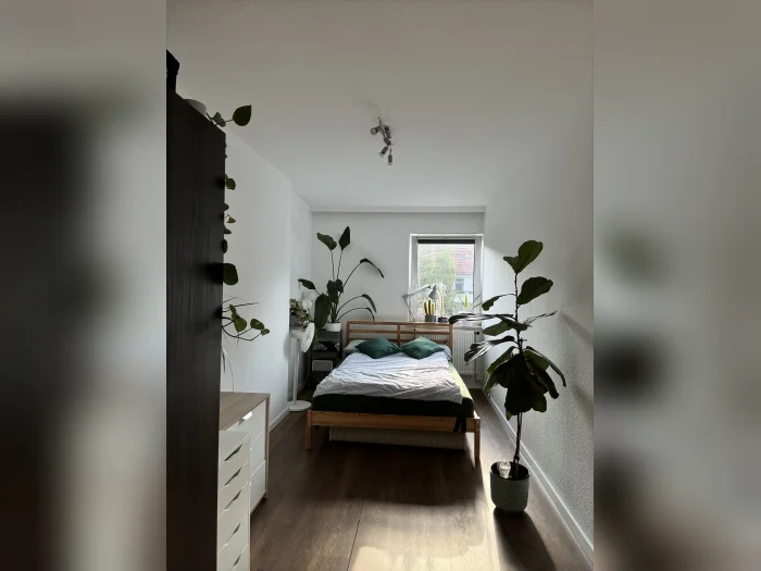 Vorschaubild 6