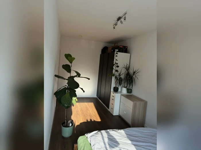 Vorschaubild 7