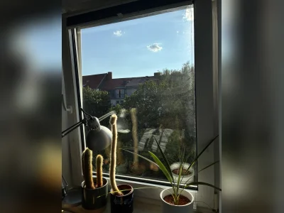 Vorschaubild 8