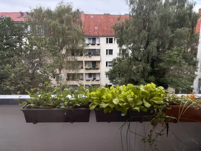 Vorschaubild 11