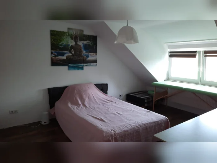 Vorschaubild 1
