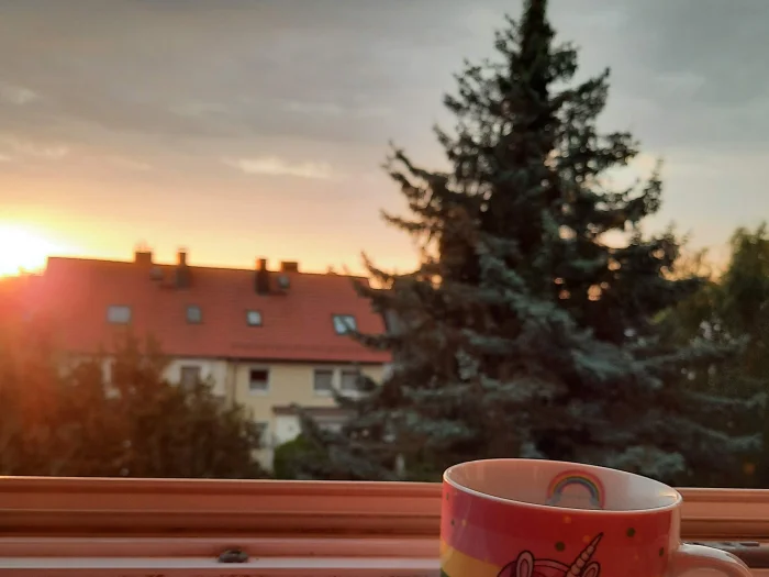 Vorschaubild 4