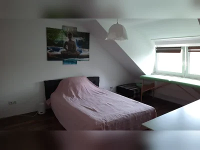Vorschaubild 1