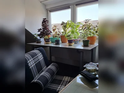 Vorschaubild 8