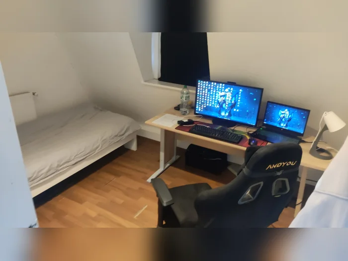 Vorschaubild 1