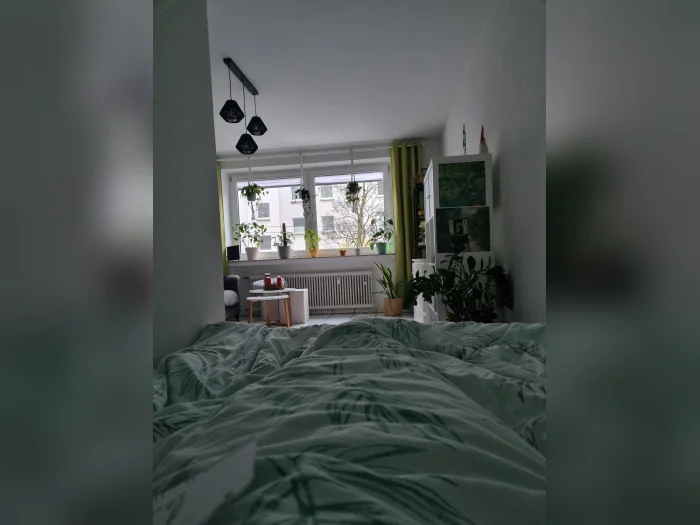 Vorschaubild 3