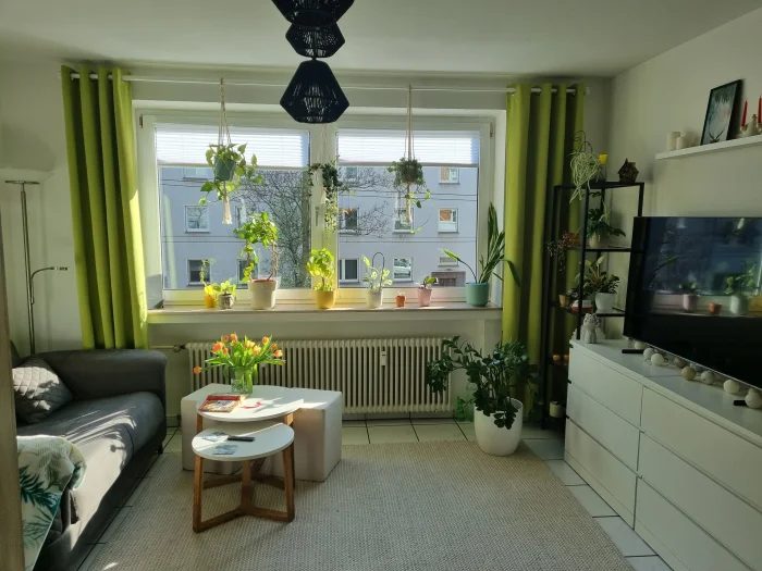 Vorschaubild 2