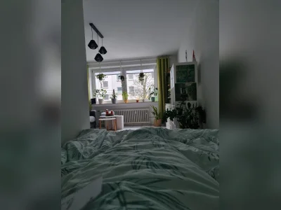 Vorschaubild 3