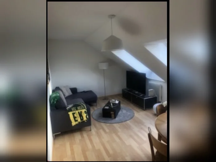 Vorschaubild 1