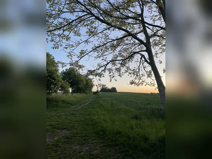 Vorschaubild 9