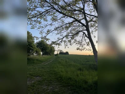 Vorschaubild 9